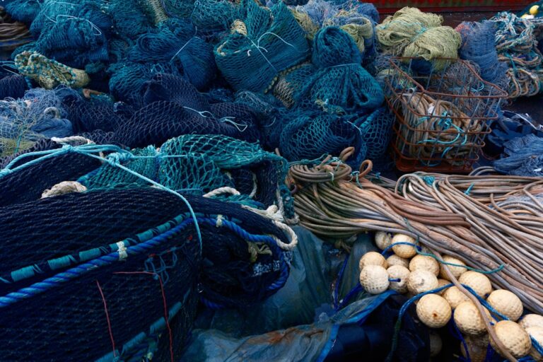 A Beginner’s Guide to Choosing the Right Fishing Rod