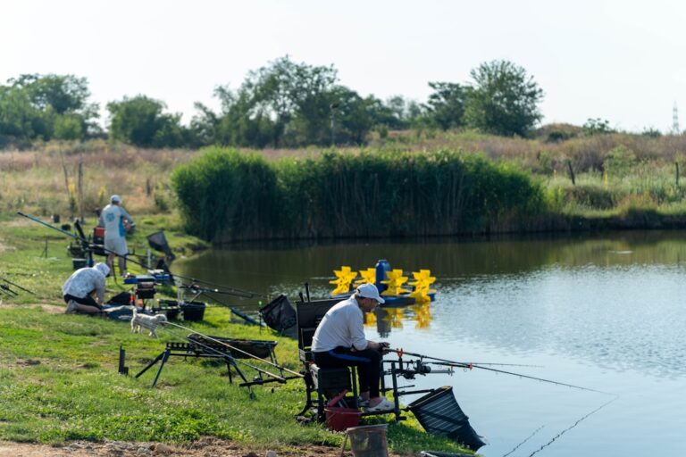 Exploring AquasVoyage: Best Fishing Products of the Year