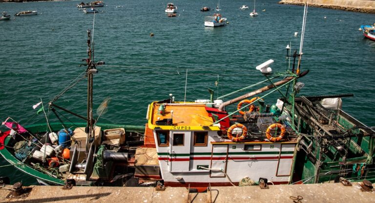 Innovative Fishing Tools You Didn’t Know You Needed
